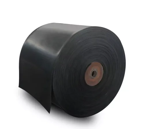 Бесконечные конвейерные ленты в Могилёве и Беларуси